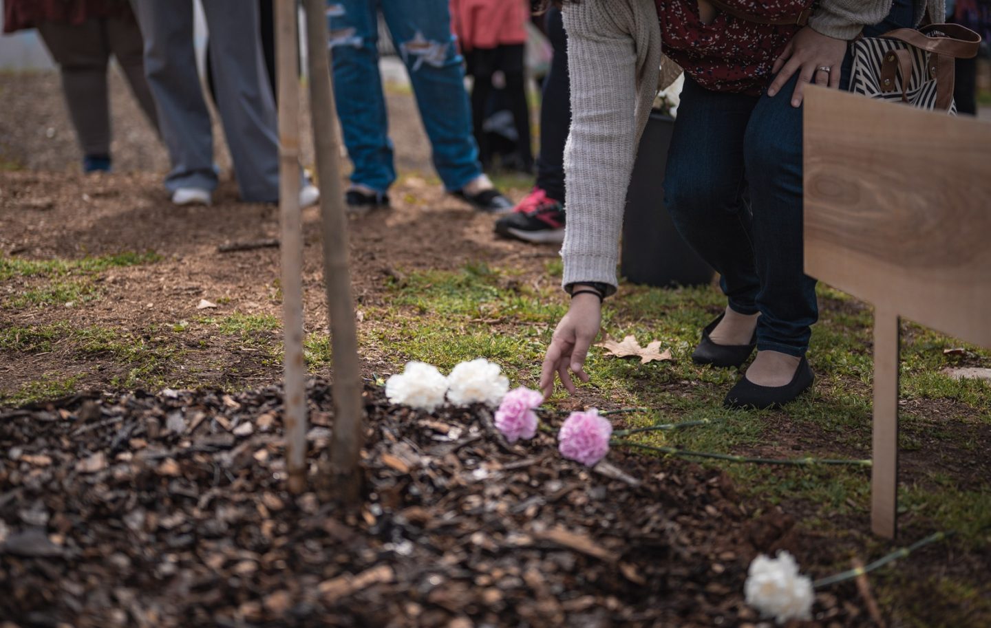 Image of a person laying a rose at the base of a tree.